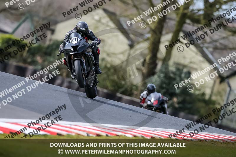 Oulton Park 21st March 2020;PJ Motorsport Photography 2020;anglesey;brands hatch;cadwell park;croft;donington park;enduro digital images;event digital images;eventdigitalimages;mallory;no limits;oulton park;peter wileman photography;racing digital images;silverstone;snetterton;trackday digital images;trackday photos;vmcc banbury run;welsh 2 day enduro